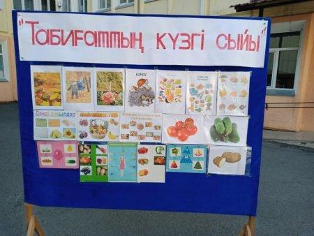 "Табиғаттың күзгі сыйы" атты күзгі жемістер көрмесі