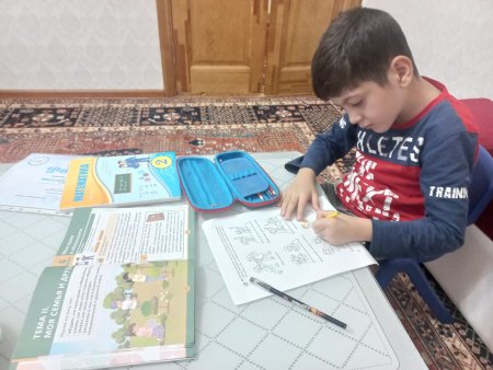 2 "Е" сынып оқушысы А.Махибулламен сабақ барысы