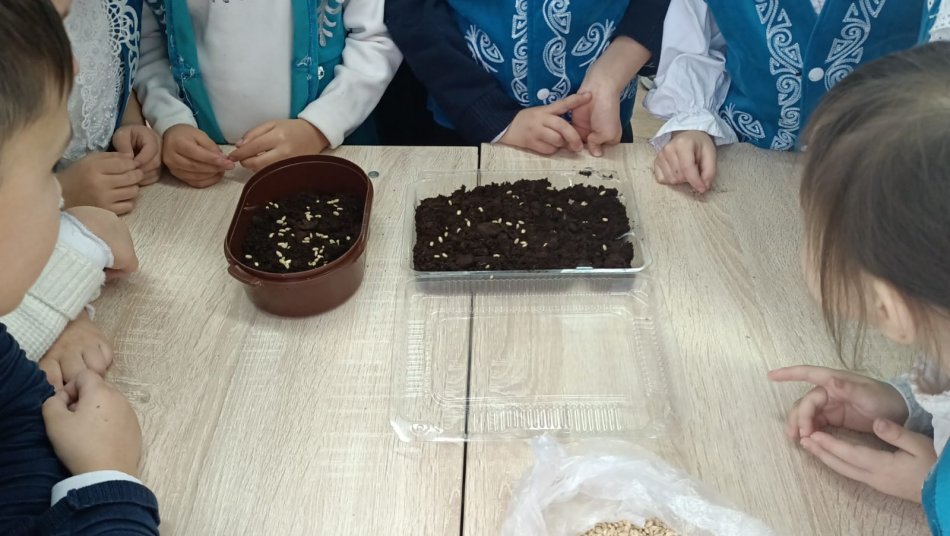 Бастауыш сынып онкүндігі аясында  1 "Д" сыныбының жаратылыстану пәнінен "Жылыту құрылғылары" тақырыбында өткізген ашық сабағы