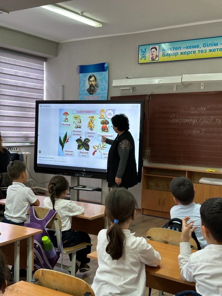 "Өсімдіктерді қалай күту қажет?"